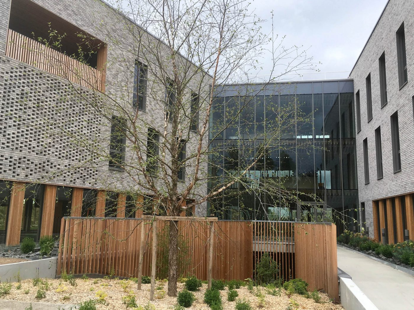 Patio avec garde corps en bois mélèze