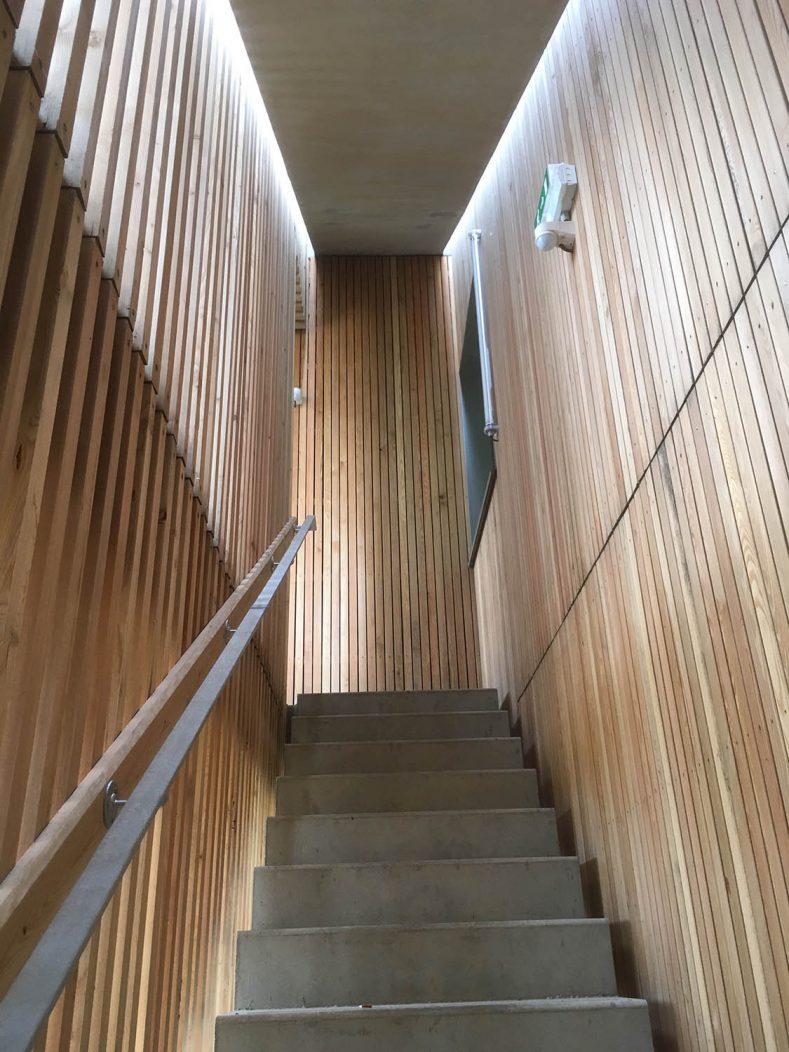 Escalier extérieur avec bardage et garde corps en bois mélèze
