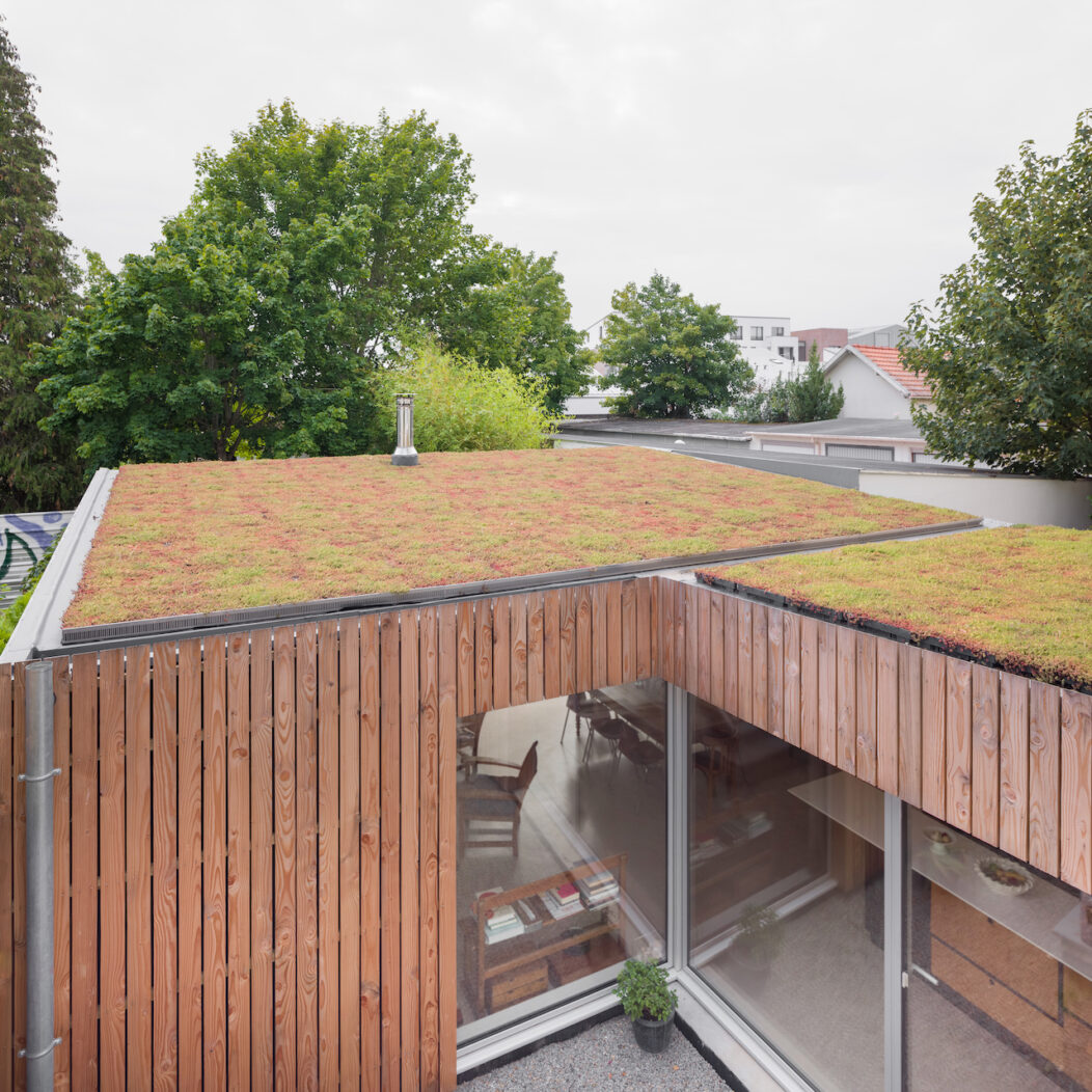 Extension bois Nantes - Terrase végétalisée